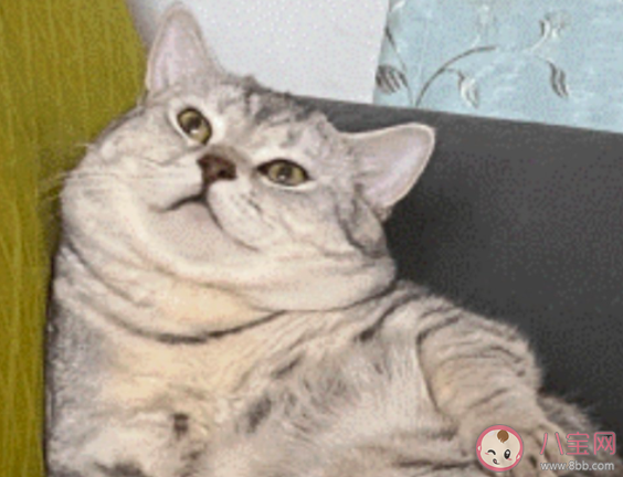 報告稱超七成青年網(wǎng)民反對躺平 年輕人真的想躺平嗎