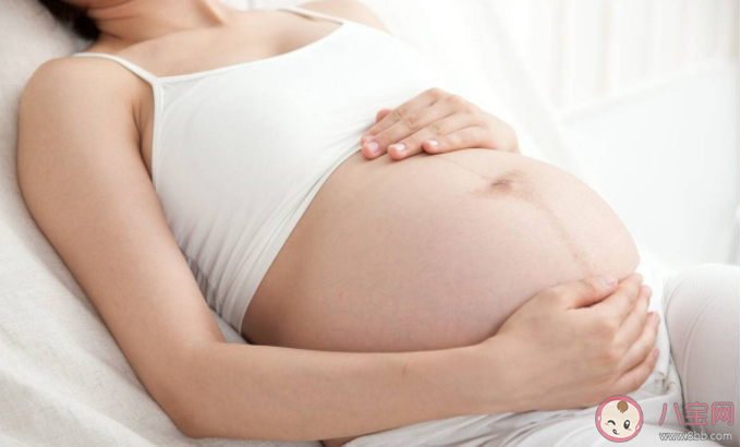 養寵物與懷孕真的不可兼得嗎 要做對哪些事情