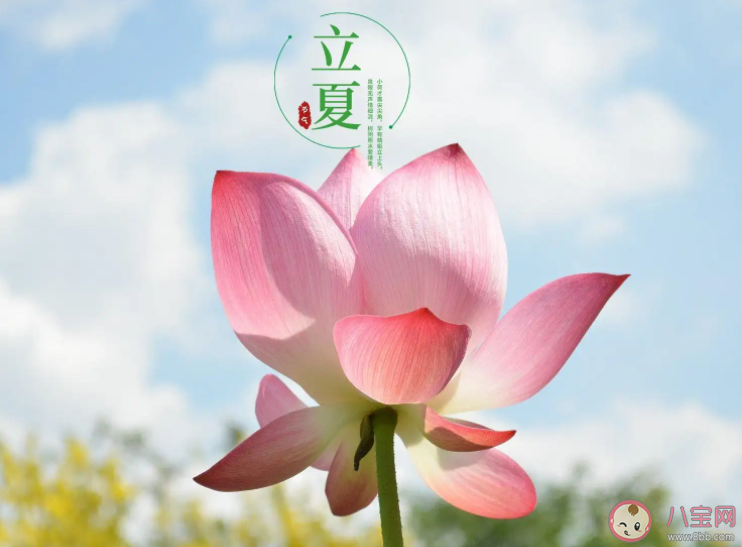 立夏就是真正入夏嗎 立夏之后就是夏天了嗎