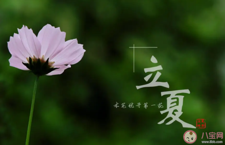 立夏就是真正入夏嗎 立夏之后就是夏天了嗎