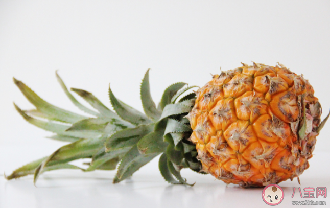 為什么吃菠蘿會覺得扎嘴 寶寶多大可以吃菠蘿 為什么吃菠蘿會覺得扎嘴 寶寶多大可以吃菠蘿