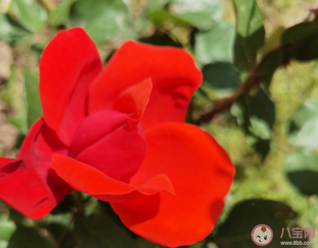 有哪些趁青春正好一定要做的事 青春的時候應該做哪些事情