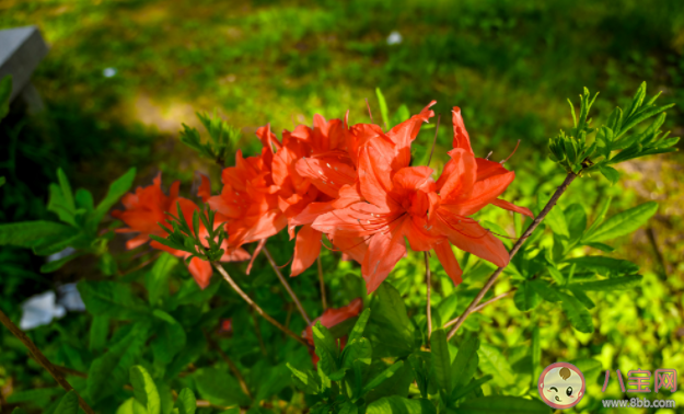 有哪些趁青春正好一定要做的事 青春的時候應該做哪些事情