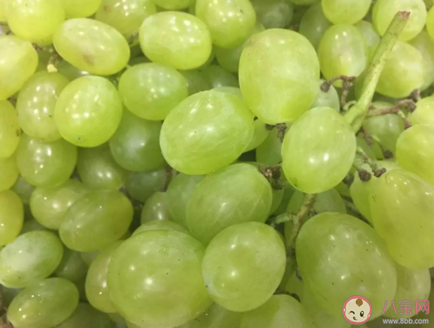 青提有哪些功效與作用 哪些人不宜吃青提