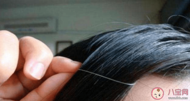 經(jīng)常拔頭發(fā)會(huì)越來越禿 經(jīng)?？刂撇蛔∽约喊晤^發(fā)是病嗎