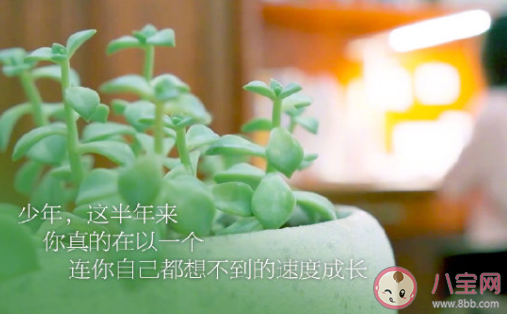 哪句話支撐你拼過(guò)整個(gè)高三 給高三學(xué)子加油的一句話