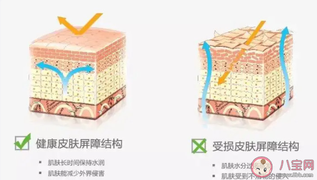 如何判斷肌膚屏障是否受損 皮膚屏障受損該怎么辦