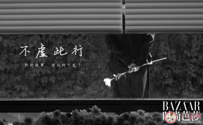 《不虛此行》官宣新陣容 《不虛此行》講述了什么故事