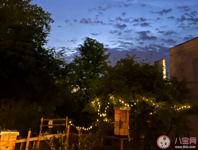 為什么越長大越喜歡懷舊 長大后總是懷念過去是什么原因 為什么越長大越喜歡懷舊 長大后總是懷念過去是什么原因