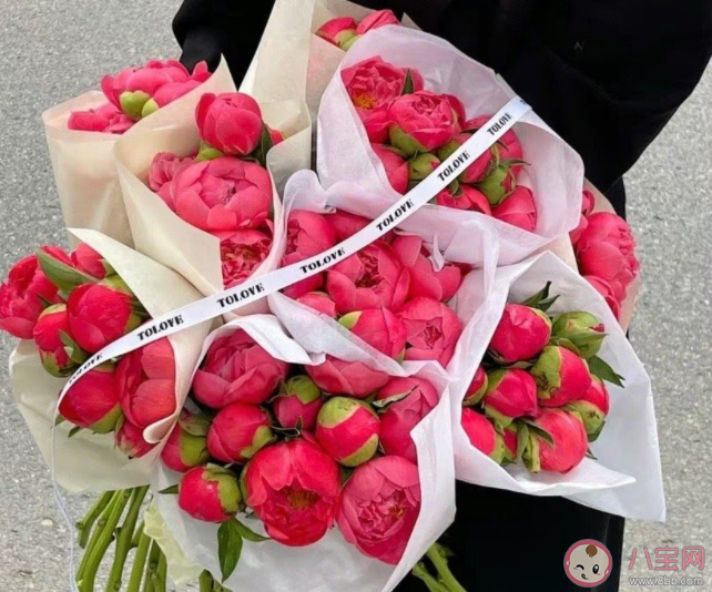 為什么越來越多人在意520 重視520的原因是什么 為什么越來越多人在意520 重視520的原因是什么