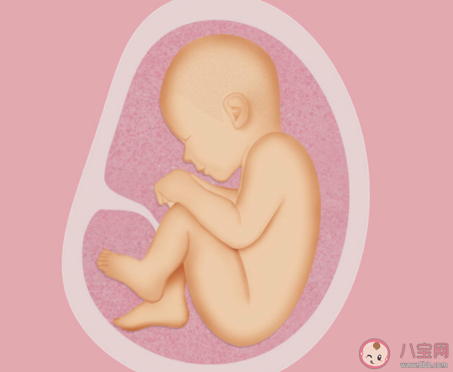 孕婦肚子越大胎兒也就越大嗎 胎兒的大小和什么有關(guān)