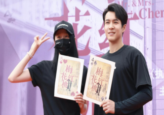 《梅花紅桃》主演是誰 《梅花紅桃》講述了什么故事