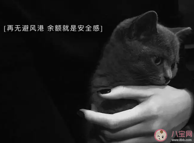 成年人的安全感來源于什么 健康能帶給人安全感嗎