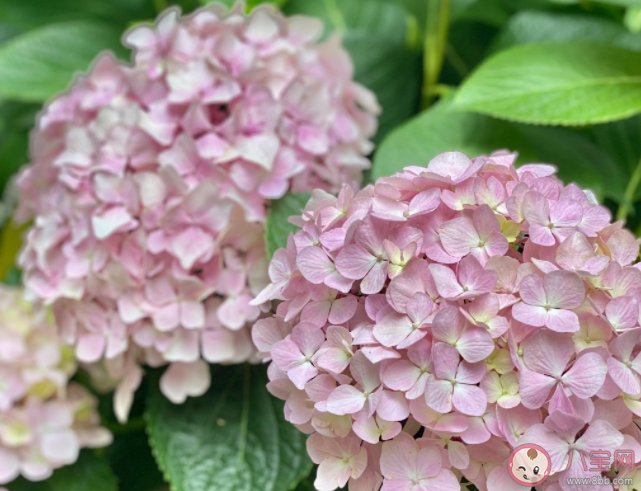 如何克服三分鐘熱度 總是三分鐘熱度該怎么辦