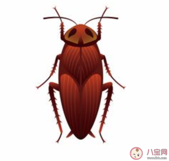 螞蟻莊園5月27日正確答案：為什么平時打蟑螂很難打中