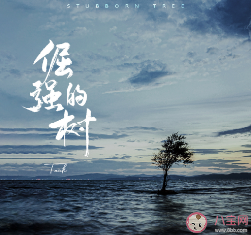 tank新歌《倔強的樹》歌詞是什么 倔強的樹歌詞信息介紹