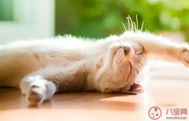 人在哪個(gè)階段最舒服 最舒服的狀態(tài)是怎樣的 人在哪個(gè)階段最舒服 最舒服的狀態(tài)是怎樣的