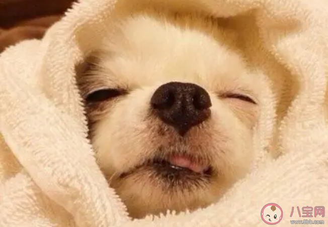 人在哪個(gè)階段最舒服 最舒服的狀態(tài)是怎樣的 人在哪個(gè)階段最舒服 最舒服的狀態(tài)是怎樣的