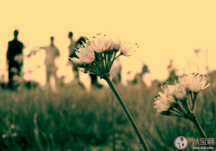 為什么我們喜歡懷念過去 懷舊有什么積極作用