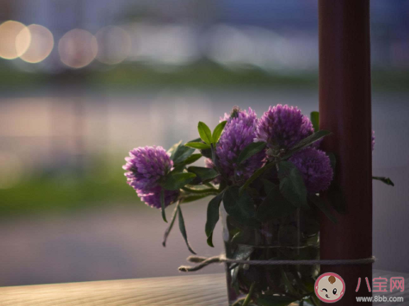 懷念過去的簡短說說經典文案 懷念過去的傷感文案句子