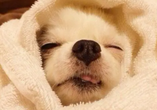 人在哪個階段最舒服 最舒服的狀態是怎樣的