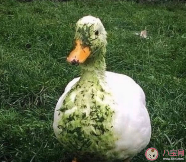 你會介意現任感情史多嗎 感情史多的人會很渣嗎 你會介意現任感情史多嗎 感情史多的人會很渣嗎