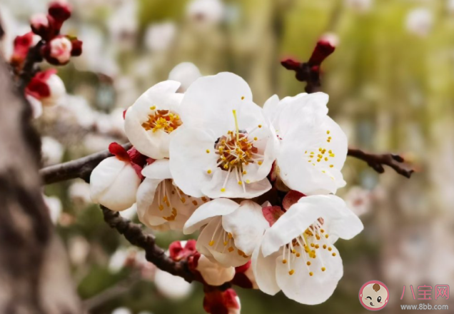 你會介意現任感情史多嗎 感情史多的人會很渣嗎 你會介意現任感情史多嗎 感情史多的人會很渣嗎