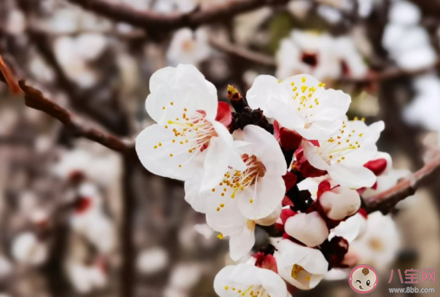 你會介意現任感情史多嗎 感情史多的人會很渣嗎 你會介意現任感情史多嗎 感情史多的人會很渣嗎
