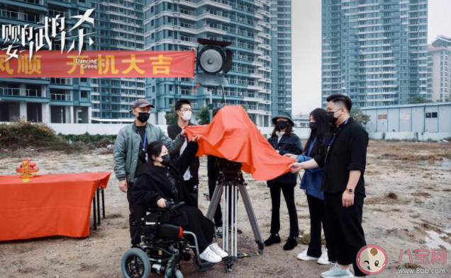 電影《鸚鵡殺》講的是什么故事 《鸚鵡殺》有什么精彩看點