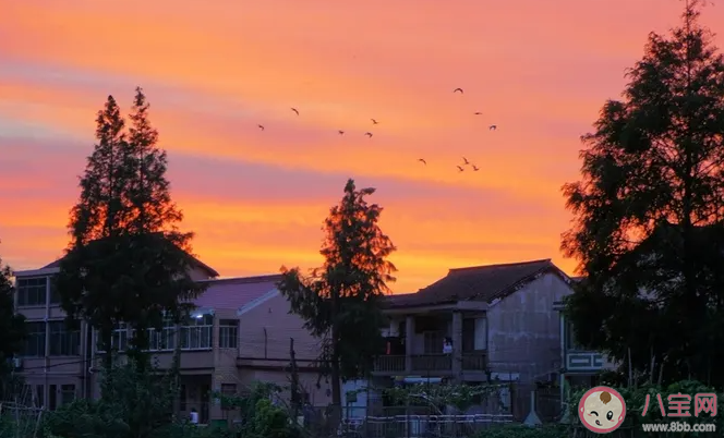 為什么選擇回老家 哪個瞬間你想回老家生活 為什么選擇回老家 哪個瞬間你想回老家生活