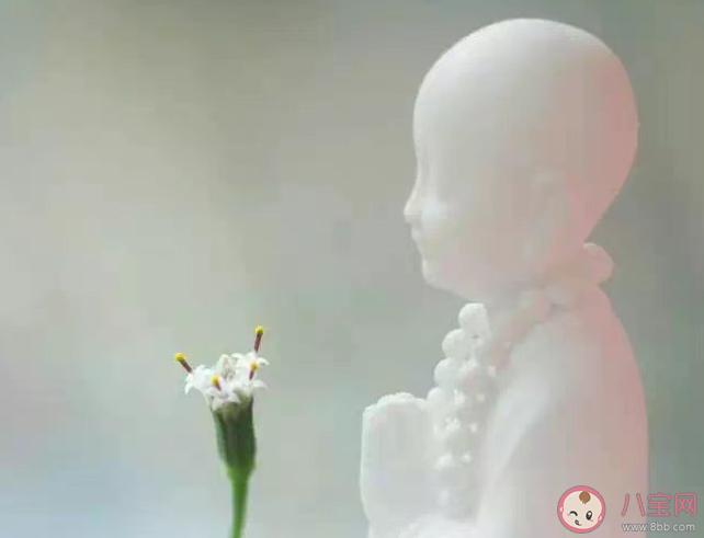 為什么有人心太軟 當(dāng)你心軟的時候怎么辦 為什么有人心太軟 當(dāng)你心軟的時候怎么辦