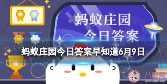 手機貼的防偷窺膜原理類似于什么 螞蟻莊園6月9日答案