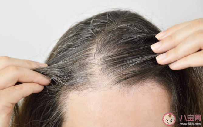 白發轉黑的可能性大嗎 黑頭發怎么就變白了