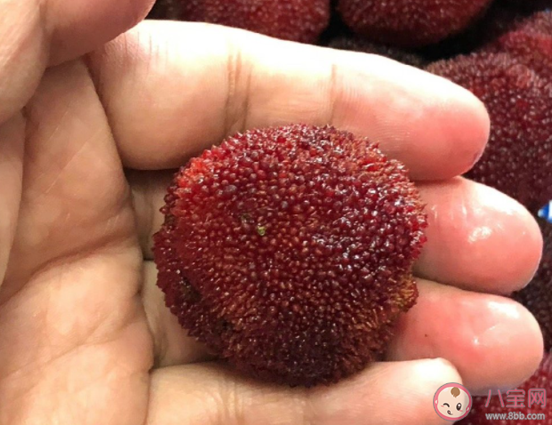 楊梅有蟲到底能不能吃 怎么去除楊梅里的蟲子