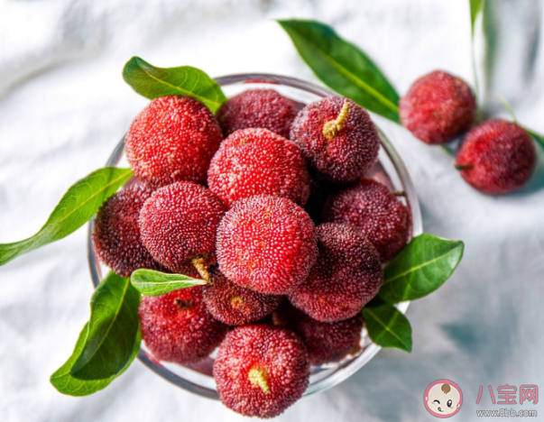 楊梅是涼性還是熱性 楊梅不能喝哪些食物同食 楊梅是涼性還是熱性 楊梅不能喝哪些食物同食