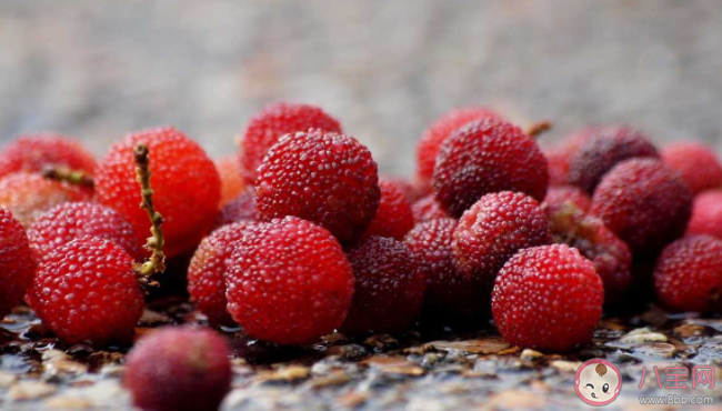 楊梅是涼性還是熱性 楊梅不能喝哪些食物同食 楊梅是涼性還是熱性 楊梅不能喝哪些食物同食