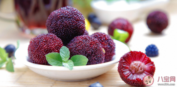 楊梅是涼性還是熱性 楊梅不能喝哪些食物同食 楊梅是涼性還是熱性 楊梅不能喝哪些食物同食