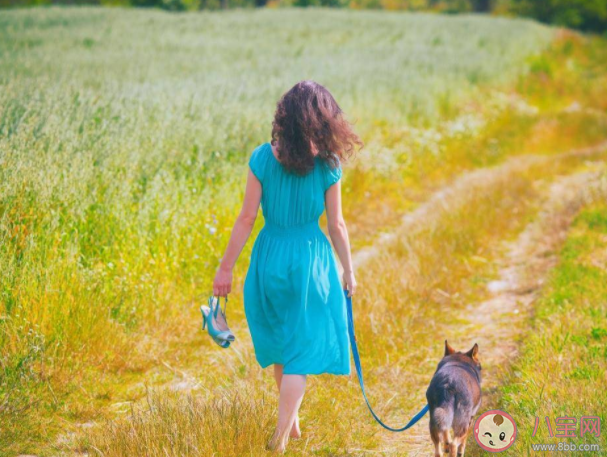 變得快樂也需要努力嗎 為什么快樂需要努力