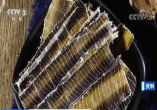 蚯蚓干價格暴漲是什么原因 蚯蚓干有什么藥用價值