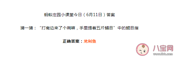 手里提了著五斤鰨目中的鰨目指什么 螞蟻莊園6月11日答案