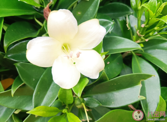 為什么說情緒勞動是最累人的 怎樣緩解情緒帶來的疲憊