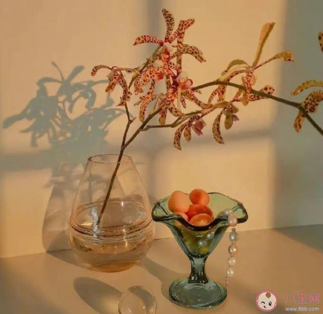 很多人為什么不愛發朋友圈 越來越不喜歡分享朋友圈的原因