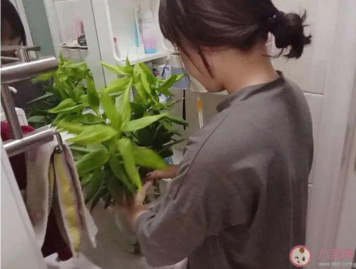 90后為什么越來越不愿意做家務(wù) 討厭做家務(wù)的原因有哪些