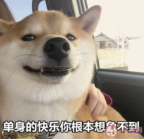 你會害怕一直單身下去嗎 怎樣看待一直單身