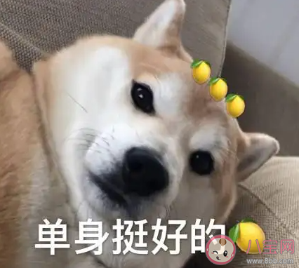 你會害怕一直單身下去嗎 怎樣看待一直單身