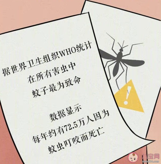 戶外如何避免被蚊子咬 哪類人更容易招蚊子