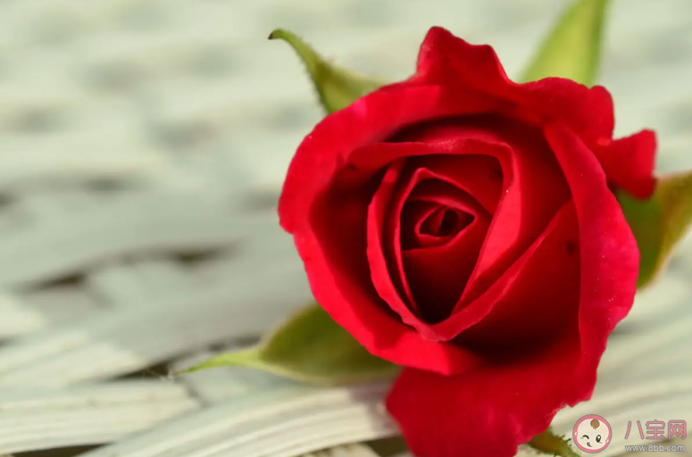 怎么取舍感情中喜歡和合適 你覺(jué)得喜歡重要還是合適重要