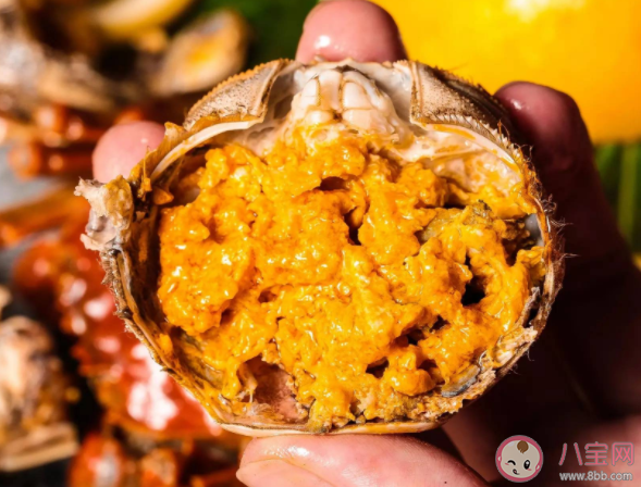 六月黃怎么吃比較好 如何挑選六月黃 六月黃怎么吃比較好 如何挑選六月黃