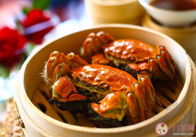 六月黃怎么吃比較好 如何挑選六月黃 六月黃怎么吃比較好 如何挑選六月黃