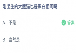 剛出生的大熊貓也是黑白相間嗎 螞蟻莊園6月16日答案最新